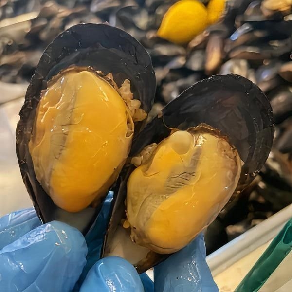 Stuffed Mussels (50 pcs)