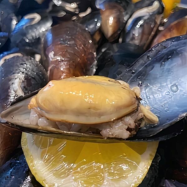 Stuffed Mussel (Per Piece)